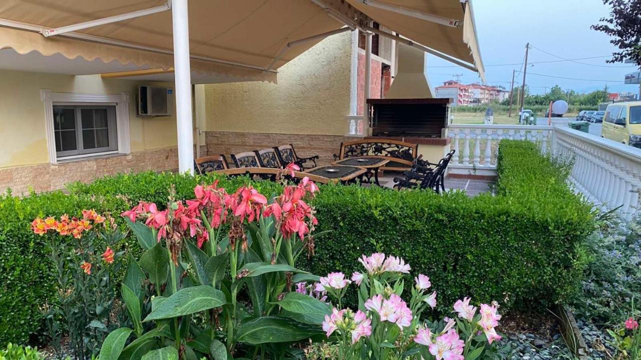 Calypso Beach Hotel Paralia Katerinis Ngoại thất bức ảnh